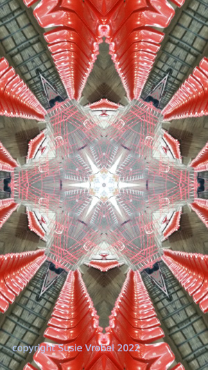 susie vrobel bad nauheim eishockey3